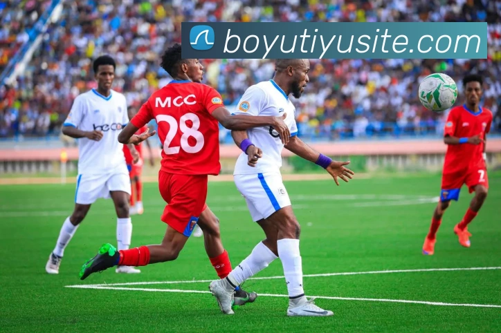 博鱼体育APP 封面图